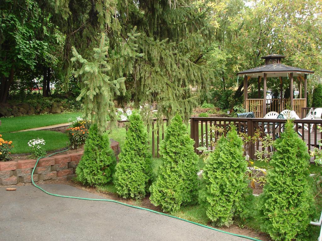Susan'S Villa Ніагара-Фоллс Екстер'єр фото